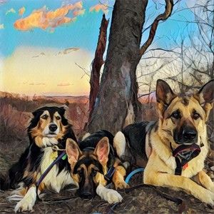 Meet your Posher, Suzanne